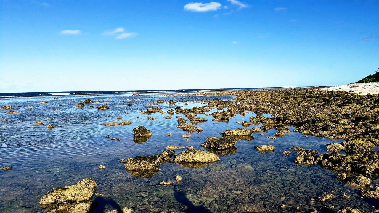 Herons Reef Holiday Apartments Rarotonga Bagian luar foto